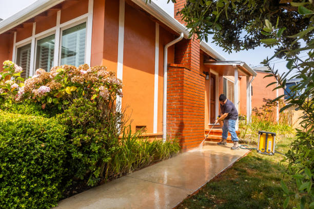 Local Pressure Washing Services in Point Mackenzie, AK